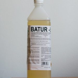 Batur-Ex