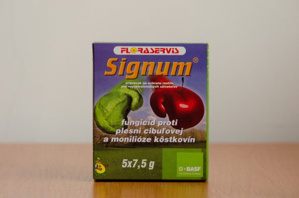 Signum - Image 2