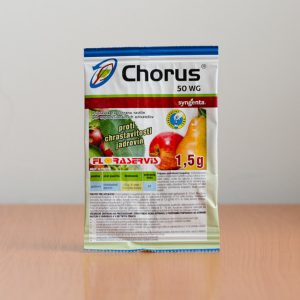 Chorus 50 WG