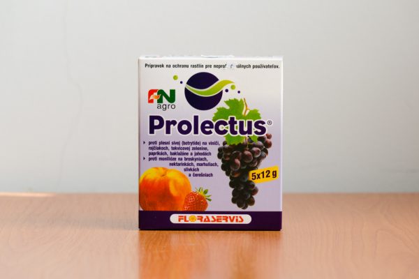 Prolectus